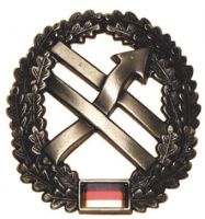 Нашивка на армейский берет бундесвер BW, "PSV"