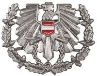 Значок на военную фуражку Австрия, цвет: серебряный, с хранения 