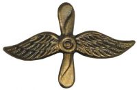Металлический значок "ВВС" Чехия/Словакия, бронза, с хранения